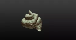 Shit