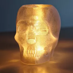 Skull Lamp