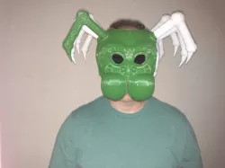 Spider Face