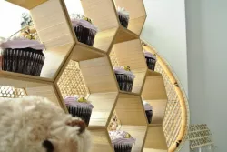 Stackable Honeycomb Display