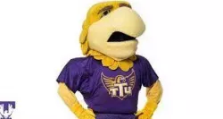TTU Awesome Eagle