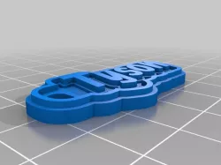 Tyson Keychain
