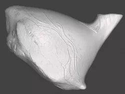 Wearable Excalibur Helmet Prop (Warframe)