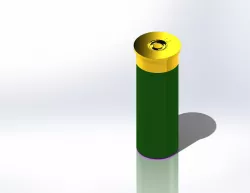 12 ga shotguns shell