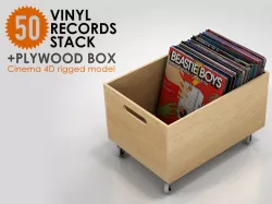 50 Vinyl Records Stack with Plywood Box rigged 3D model