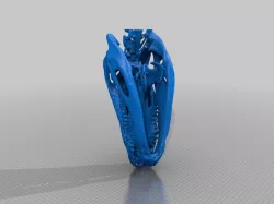 Alligator Skull from CT scan