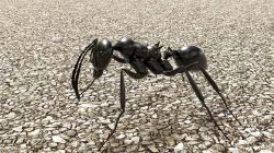 ANT blender Model 3D model