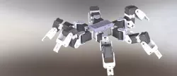 Bioloid hexapod