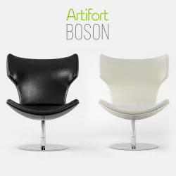 Boson 3D model