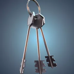 Bunch of keys 3D model