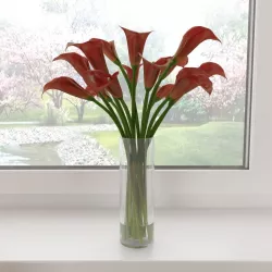 Calla lily 02 3D model