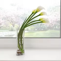 Calla lily 03 3D model