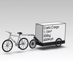Carla Cargo Summer