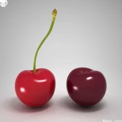 Cherry 3D model