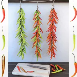 Chilli pepper bunch 3D model