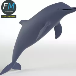 Dolphin 3D model