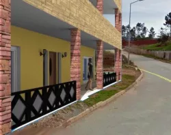 Dream House