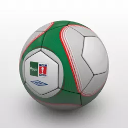 FA Cup Ball 2009 - Green - Trophy 3D model