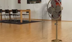 fan