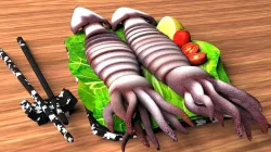 Grilled Squid 1 3D model