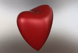 Heart
