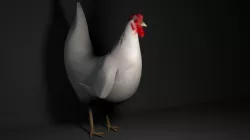 Hen Pigged and Animated Lowpoly Low-poly  3D model