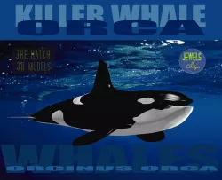 Killer Whale 3D model