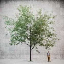 Linden urban v4 3D model
