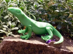 Little Lizard