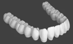 Lower jaw teeth anatomy  3D model