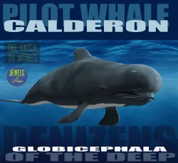 Pilot Whale 3D model