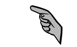Pointer Finger