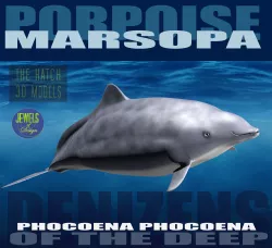 Porpoise 3D model