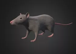 Rat - lowpoly 3d model Low-poly  3D model