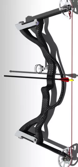 Rob Carbon Compound Bow 