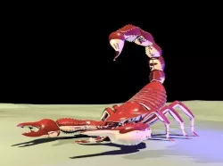 Scorpion 3D model