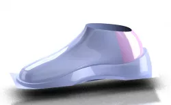 Shoe Surface Model