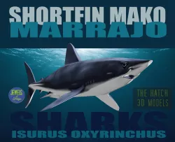 Shortfin Mako  3D model