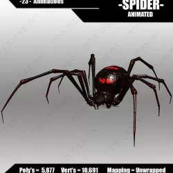 Spider 3D model