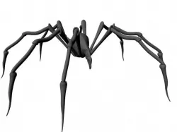 Spider 3D model