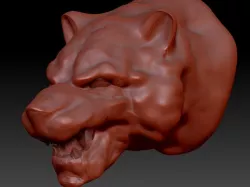 Tigerhead