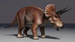 Triceratops Low-poly  3D model
