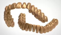 Upper and lower jaw teeth anatomy 3D model
