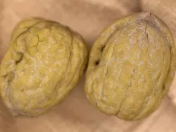 Walnut - Closed and Peeled half 3D model