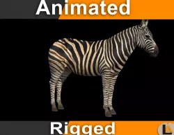 Zebra 3D model