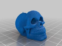 (3D Slash) Skull