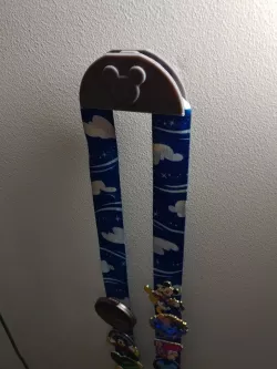Disney Pin Lanyard Wall Mount