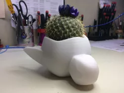 Dragon Turtle Planter