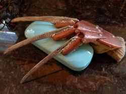 Freddy Glove (youth sized) 