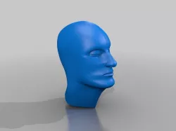 Human head